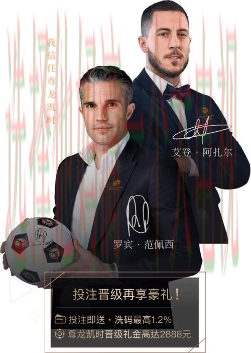 尊龙官网最新入口解析